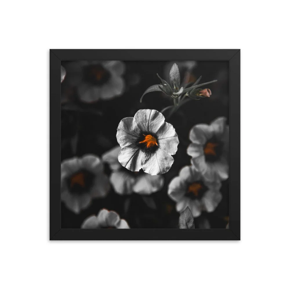 premium-luster-photo-paper-framed-poster-(in)-black-12x12-transparent-674e1b3eaf70e.jpg