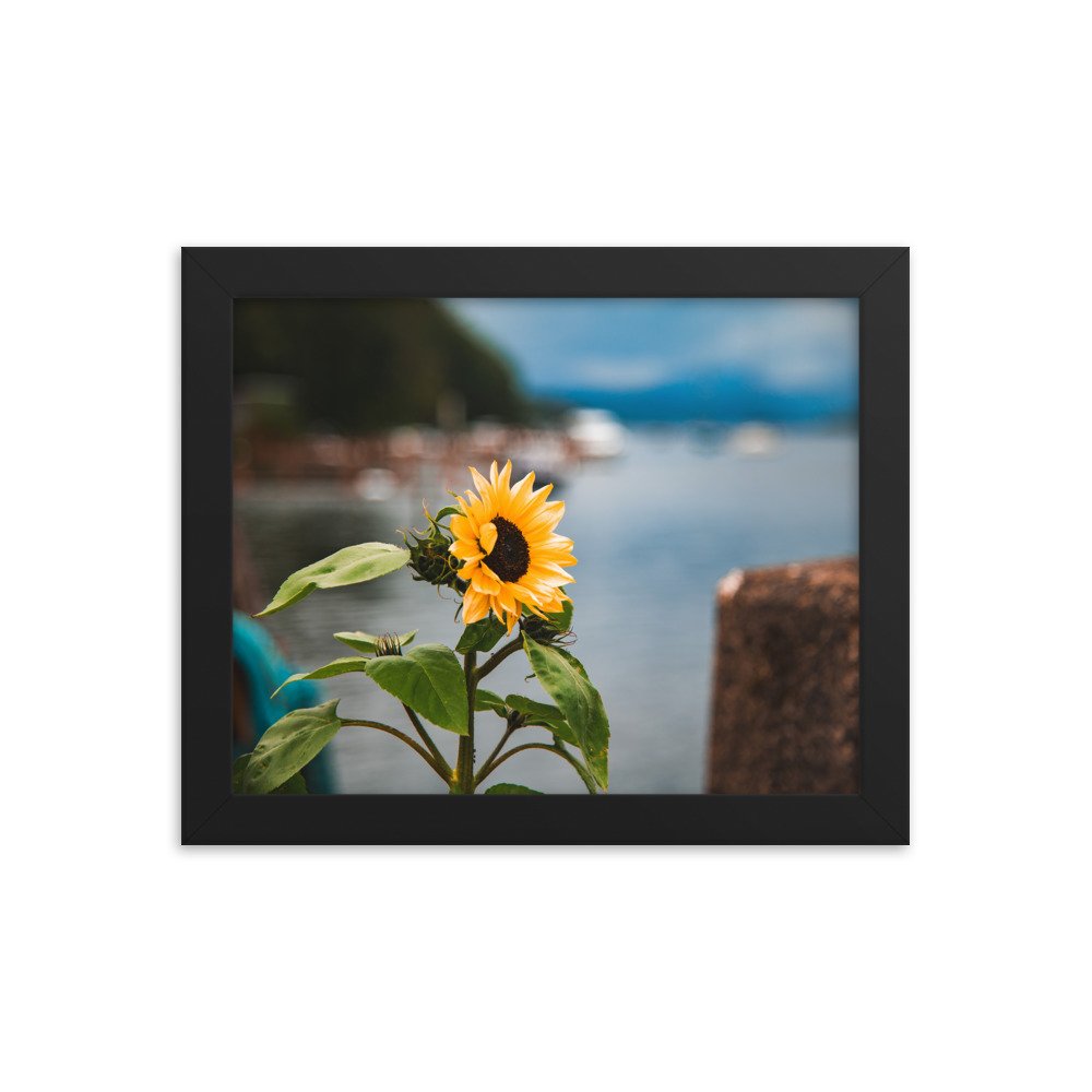 premium-luster-photo-paper-framed-poster-(in)-black-8x10-transparent-674e21a829056.jpg
