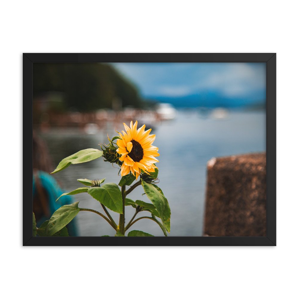 premium-luster-photo-paper-framed-poster-(in)-black-18x24-transparent-674e21a829b4e.jpg