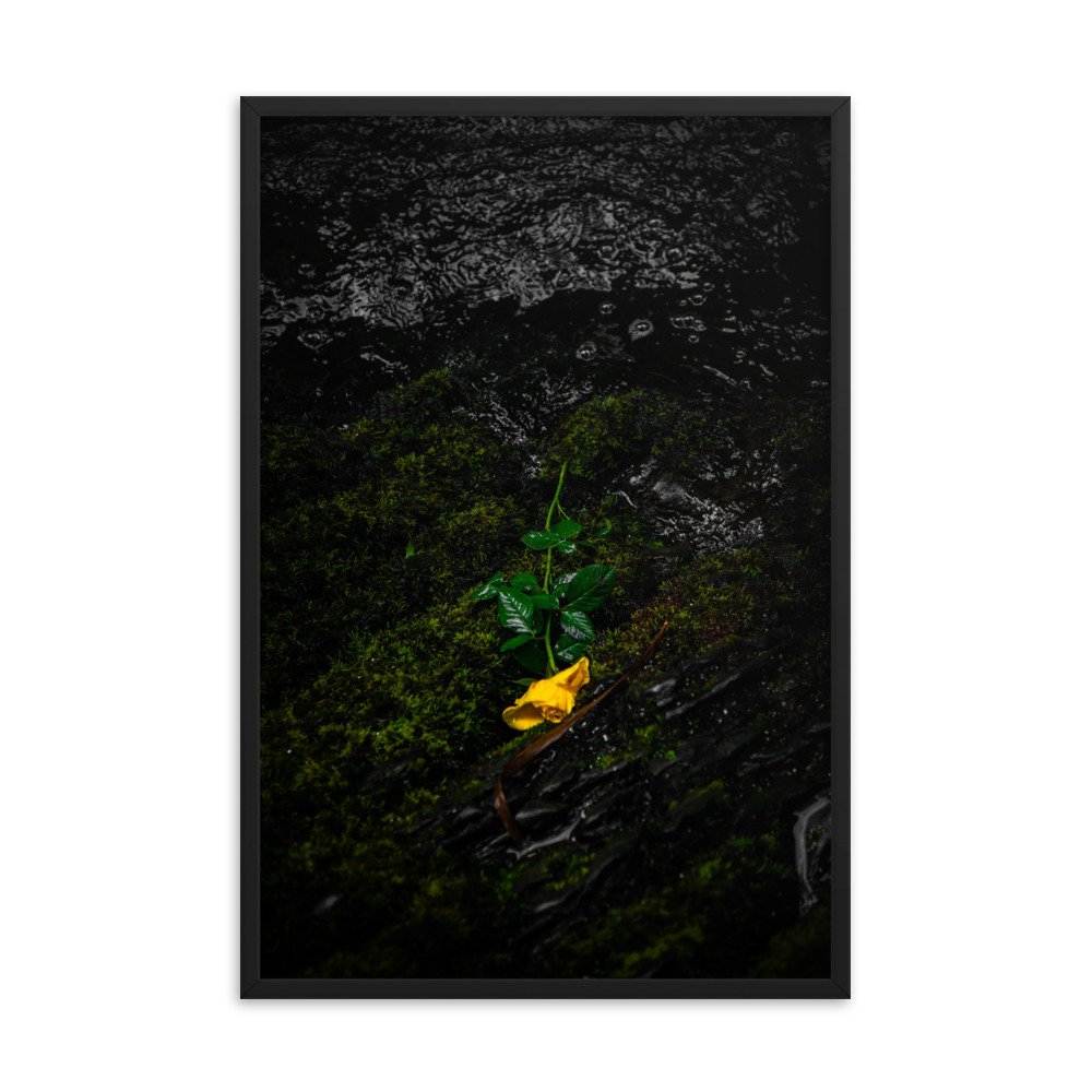 premium-luster-photo-paper-framed-poster-(in)-black-24x36-transparent-674e2a7eaee3d.jpg