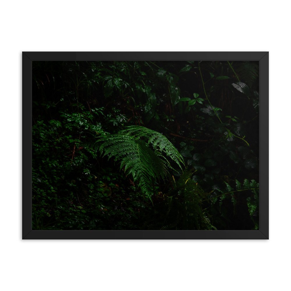 premium-luster-photo-paper-framed-poster-(in)-black-18x24-transparent-674e2bb2a562a.jpg