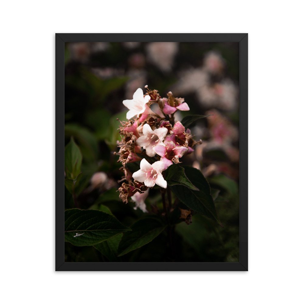 premium-luster-photo-paper-framed-poster-(in)-black-16x20-transparent-674e2e677efa7.jpg