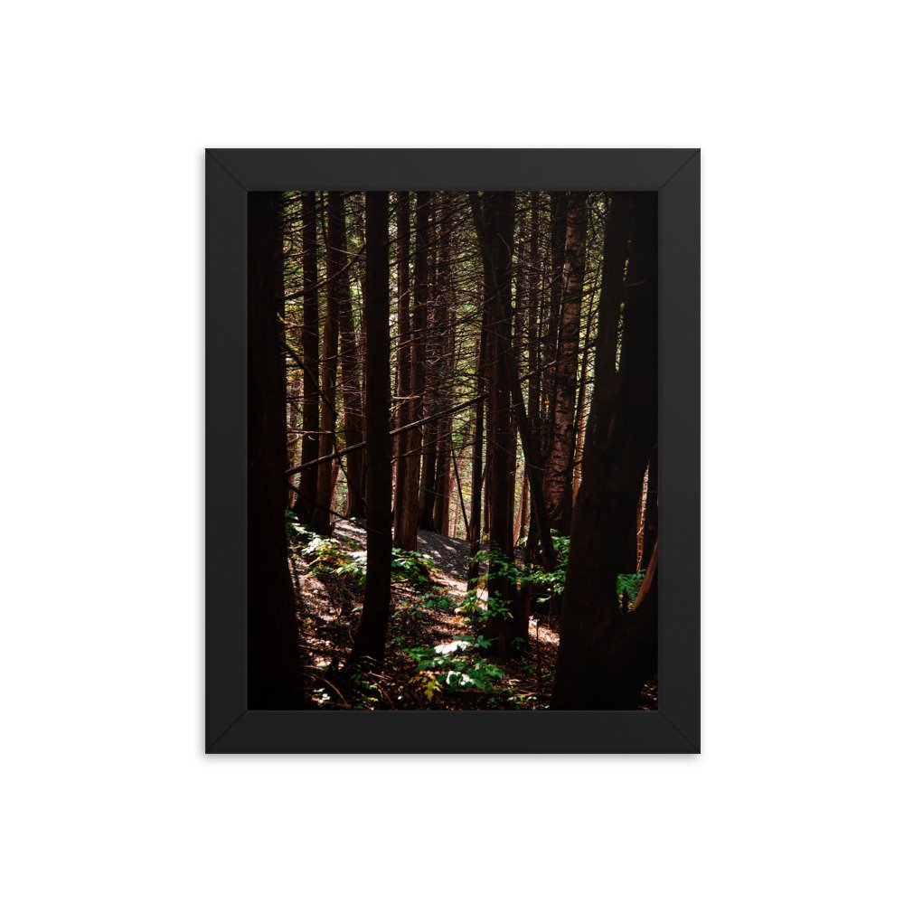 premium-luster-photo-paper-framed-poster-(in)-black-8x10-transparent-674e38adbf6f0.jpg
