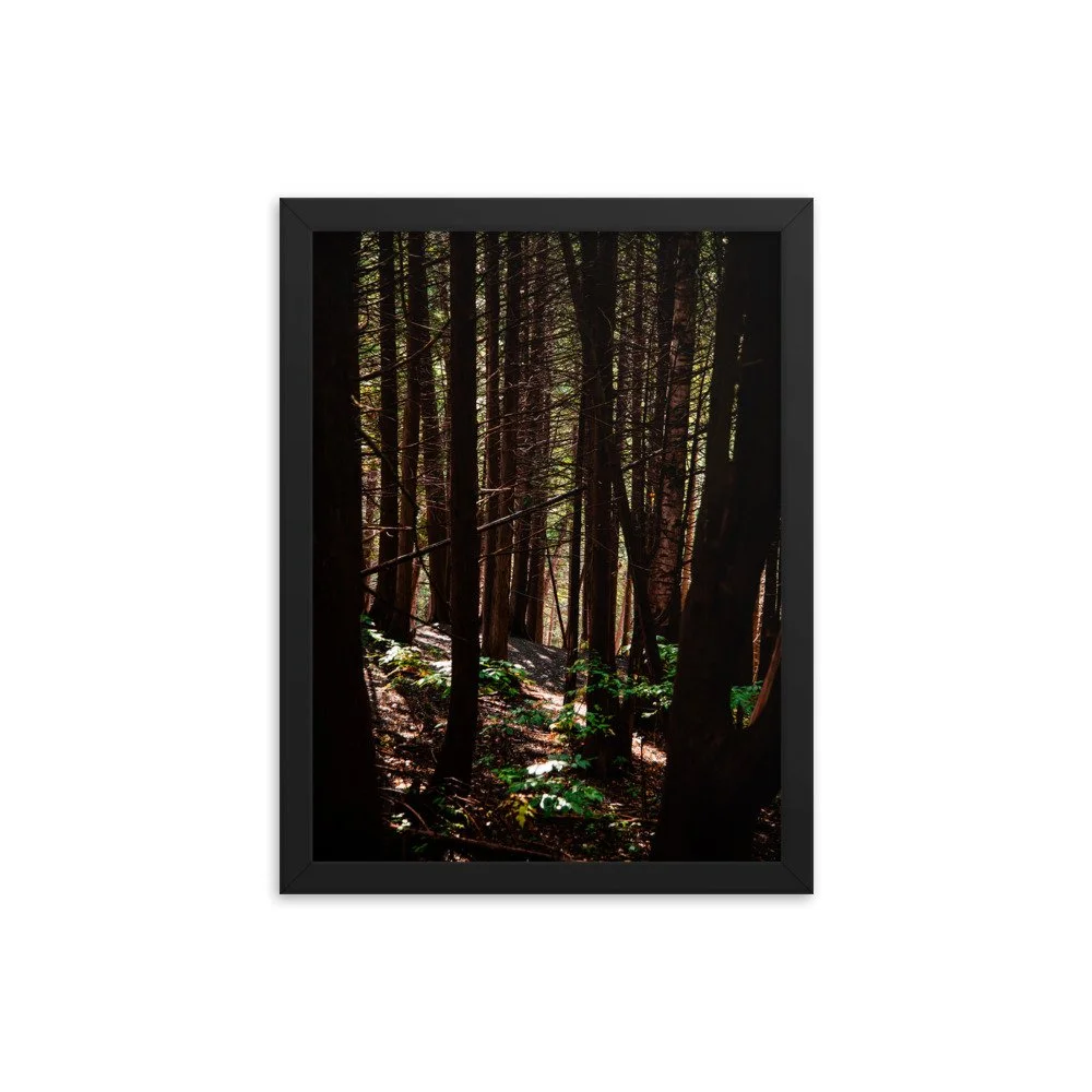 premium-luster-photo-paper-framed-poster-(in)-black-12x16-transparent-674e38adbfae6.jpg