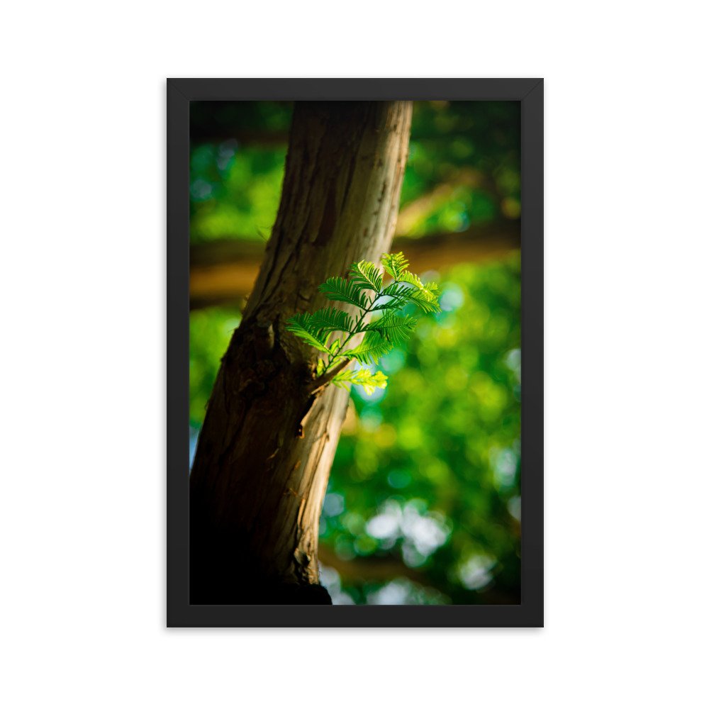 premium-luster-photo-paper-framed-poster-(in)-black-12x18-transparent-674e3da30c97c.jpg