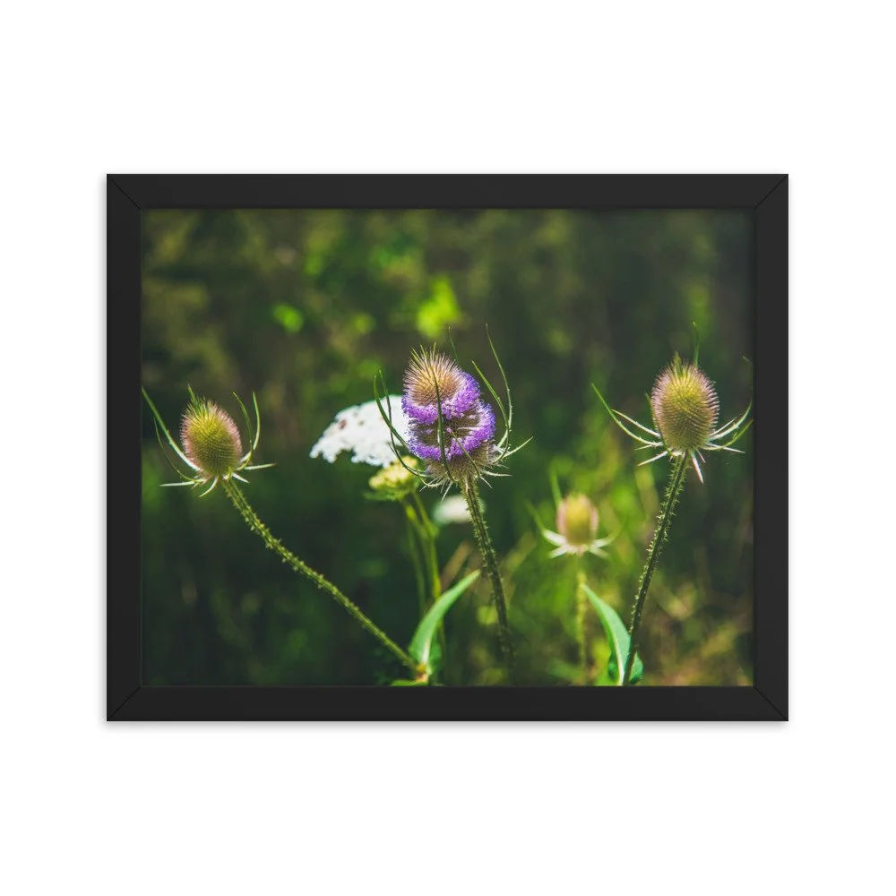 premium-luster-photo-paper-framed-poster-(in)-black-11x14-transparent-674e41d4a6bda.jpg