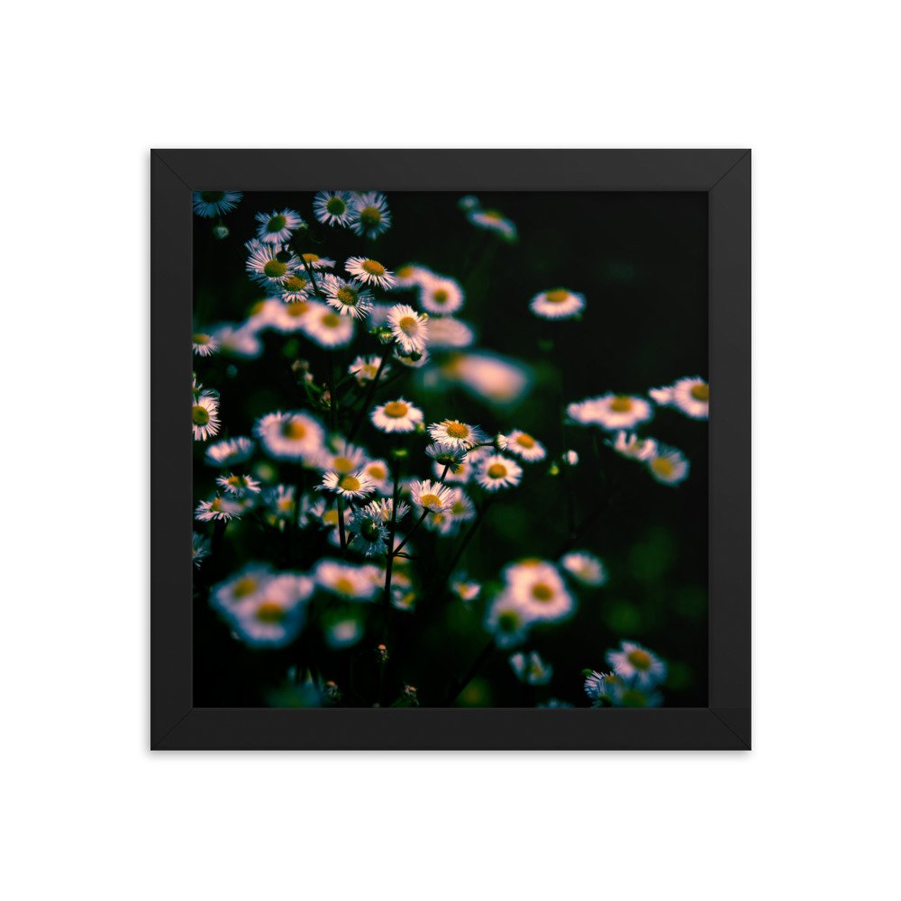premium-luster-photo-paper-framed-poster-(in)-black-10x10-transparent-674e43e00f658.jpg