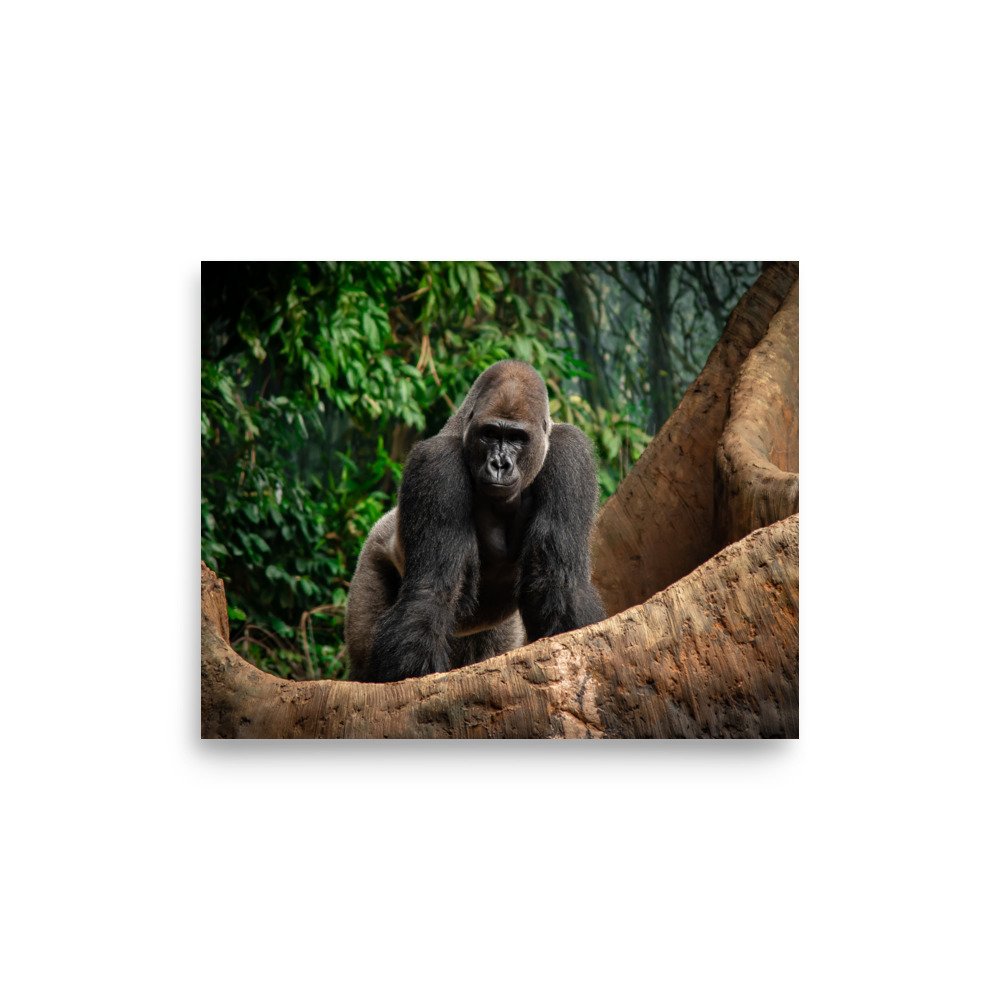 premium-luster-photo-paper-poster-(in)-8x10-front-67576fe435fca.jpg