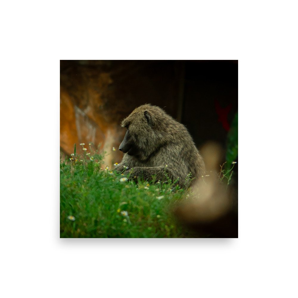 premium-luster-photo-paper-poster-(in)-10x10-front-6758710c0d6a6.jpg