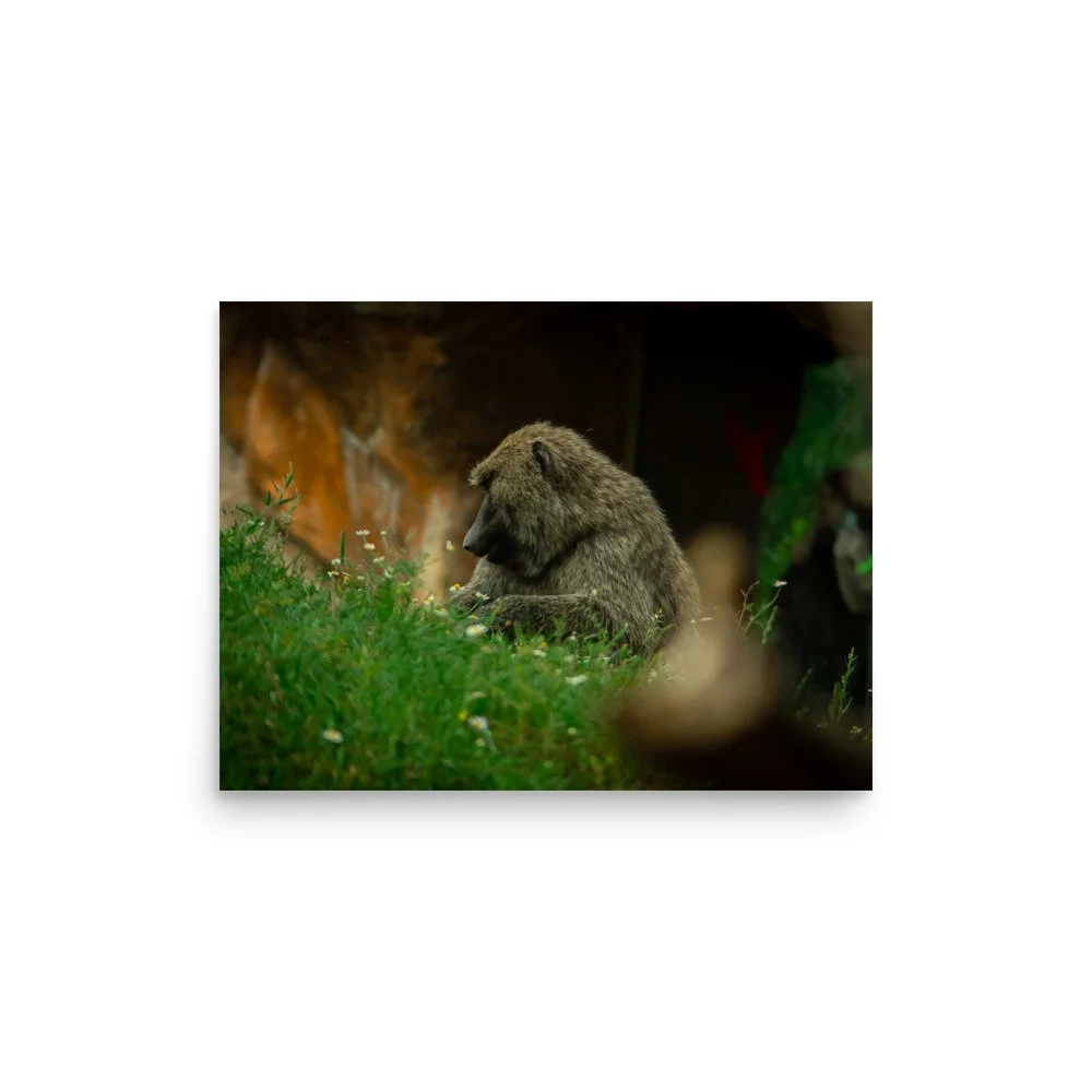 premium-luster-photo-paper-poster-(in)-12x16-front-6758710c0da02.jpg