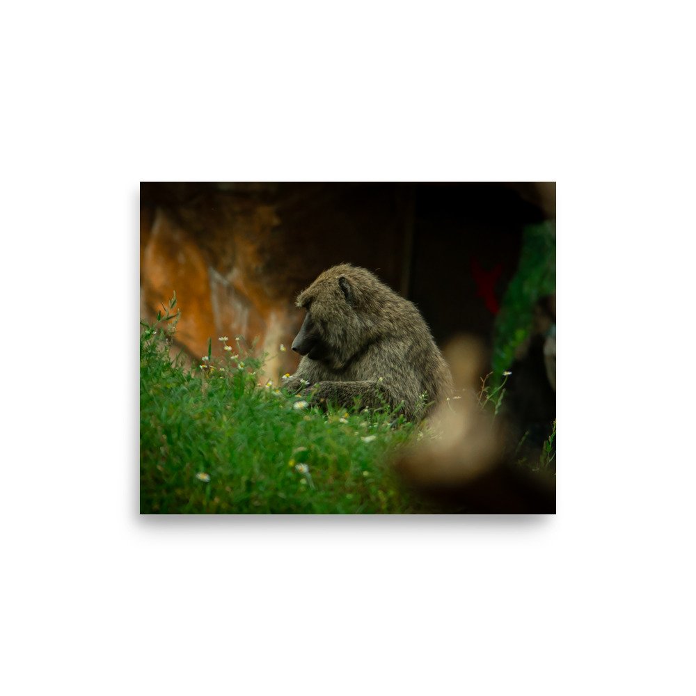 premium-luster-photo-paper-poster-(in)-8x10-front-6758710c0e2da.jpg