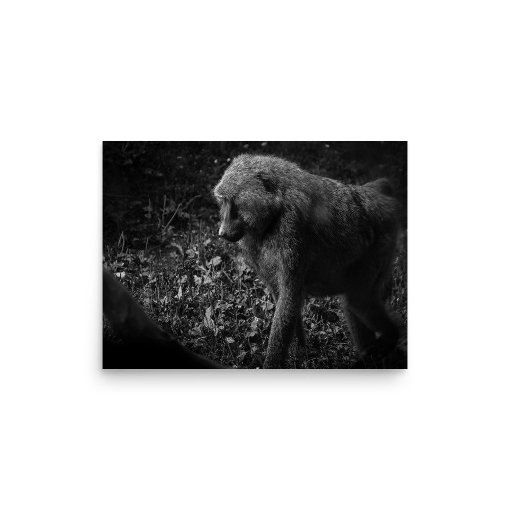 premium-luster-photo-paper-poster-(in)-12x16-front-675873e4d2c1f.jpg