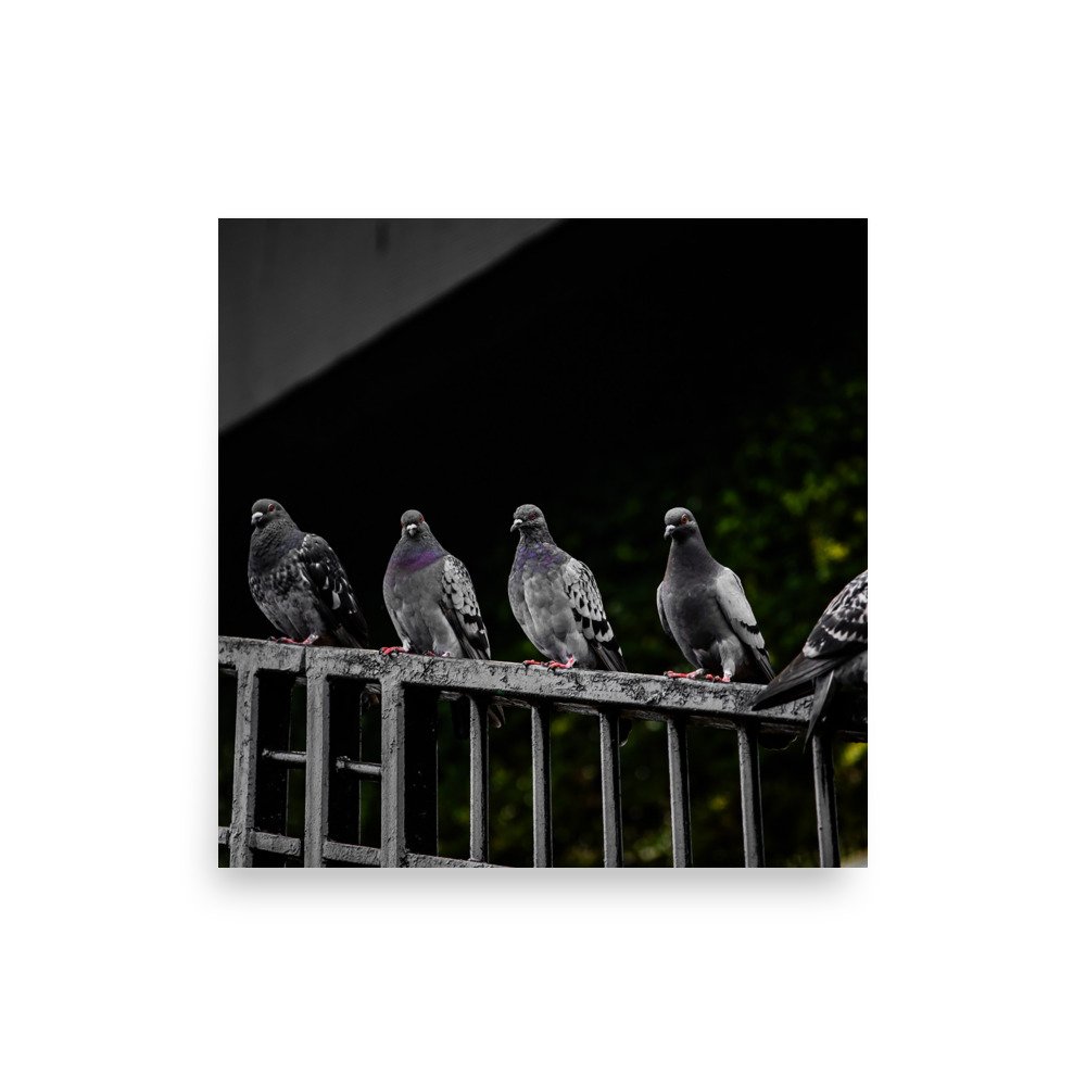 premium-luster-photo-paper-poster-(in)-10x10-front-6758769019d55.jpg