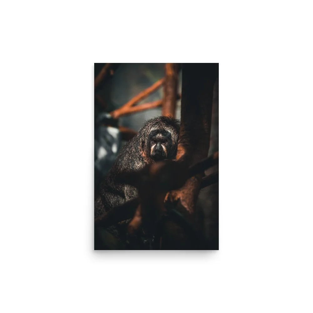 premium-luster-photo-paper-poster-(in)-12x18-front-6758798469e93.jpg