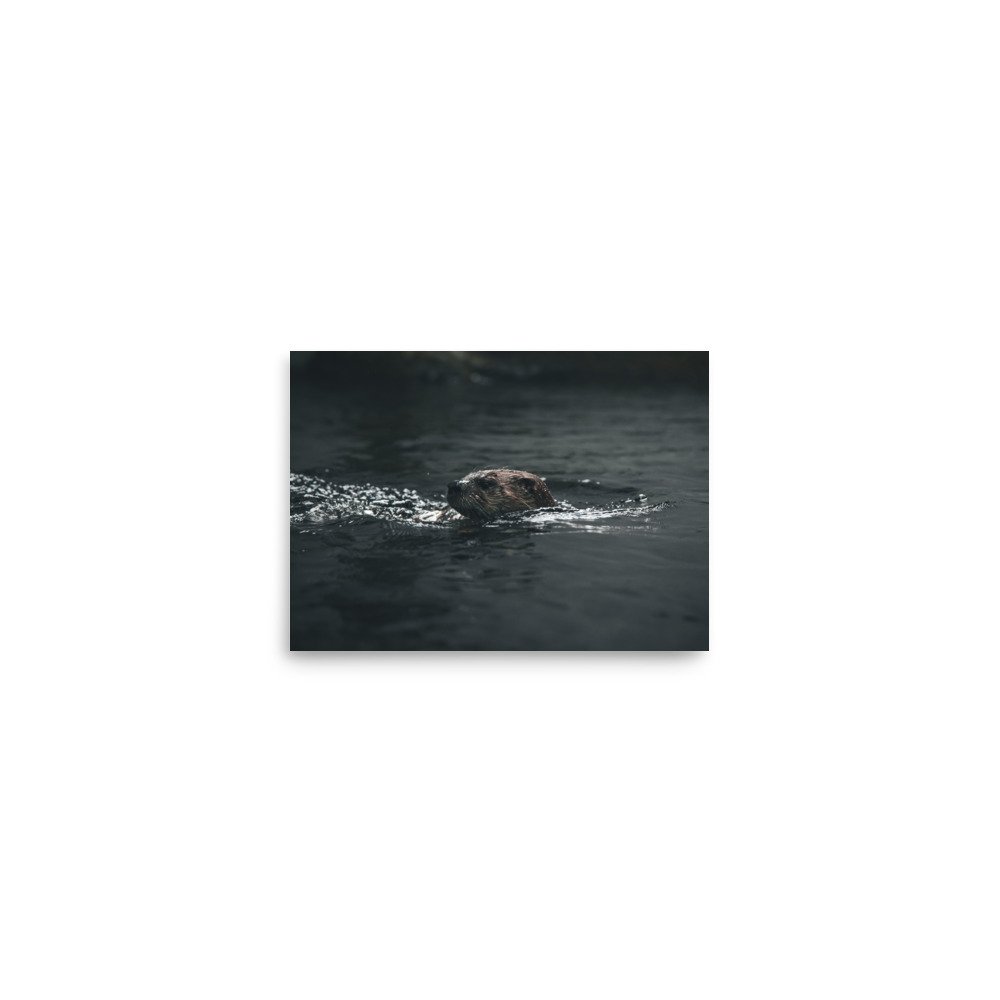 premium-luster-photo-paper-poster-(in)-5x7-front-67587b9b896a2.jpg