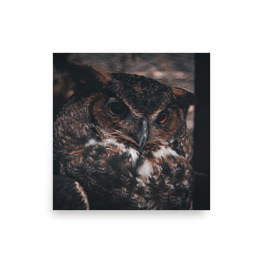 premium-luster-photo-paper-poster-(in)-10x10-front-67587d8ac9584.jpg
