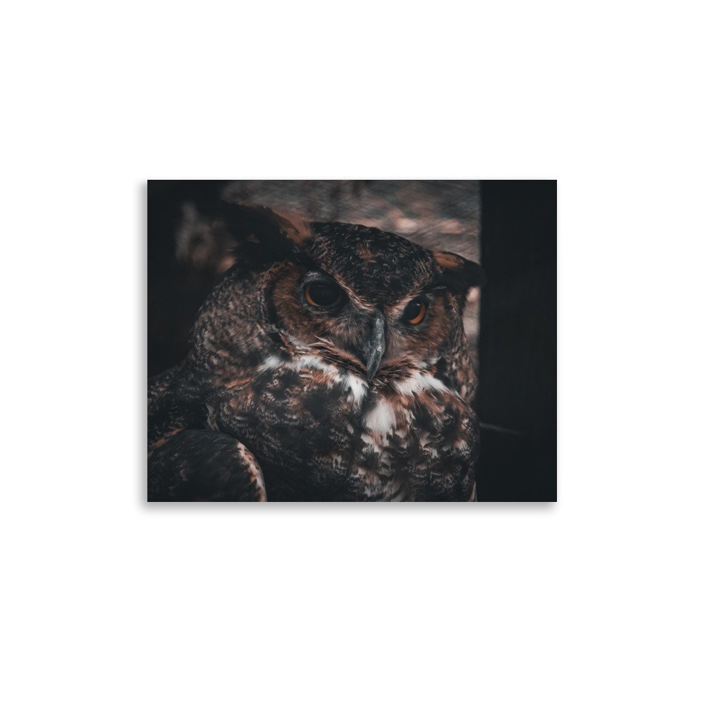 premium-luster-photo-paper-poster-(in)-11x14-front-67587d8ac963c.jpg