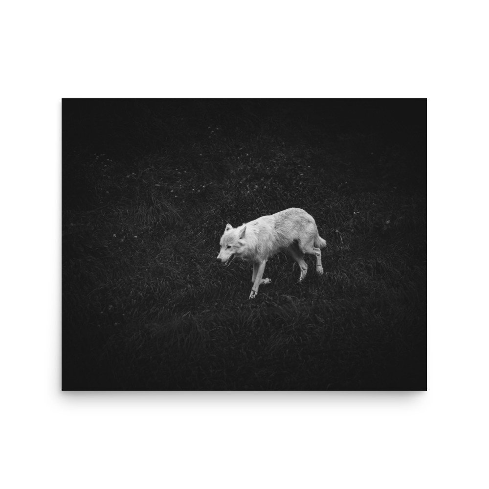 premium-luster-photo-paper-poster-(in)-16x20-front-675880f11c8f6.jpg