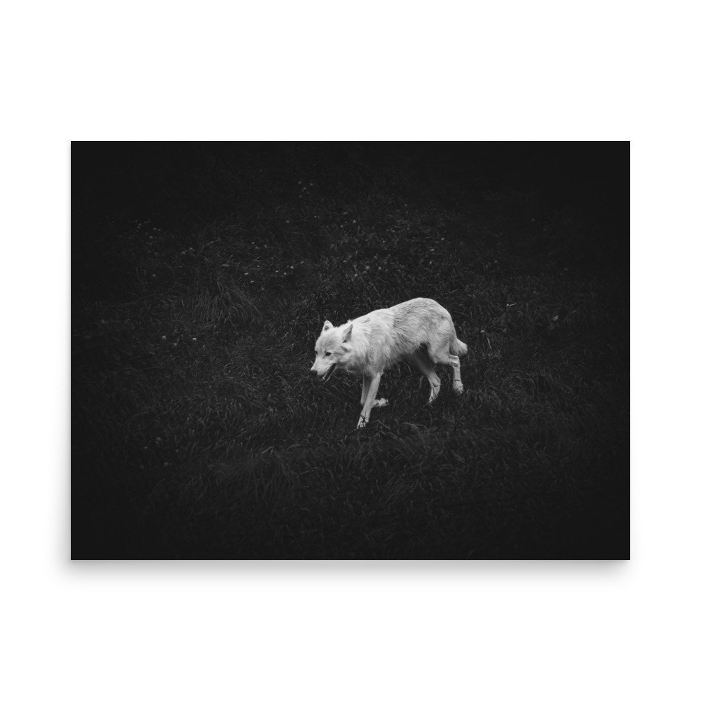 premium-luster-photo-paper-poster-(in)-18x24-front-675880f11ca4c.jpg