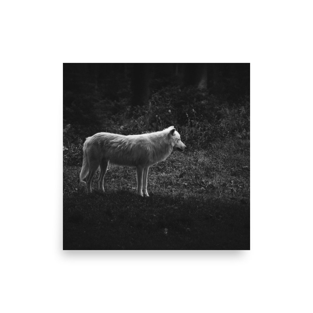 premium-luster-photo-paper-poster-(in)-10x10-front-675881d8ad506.jpg