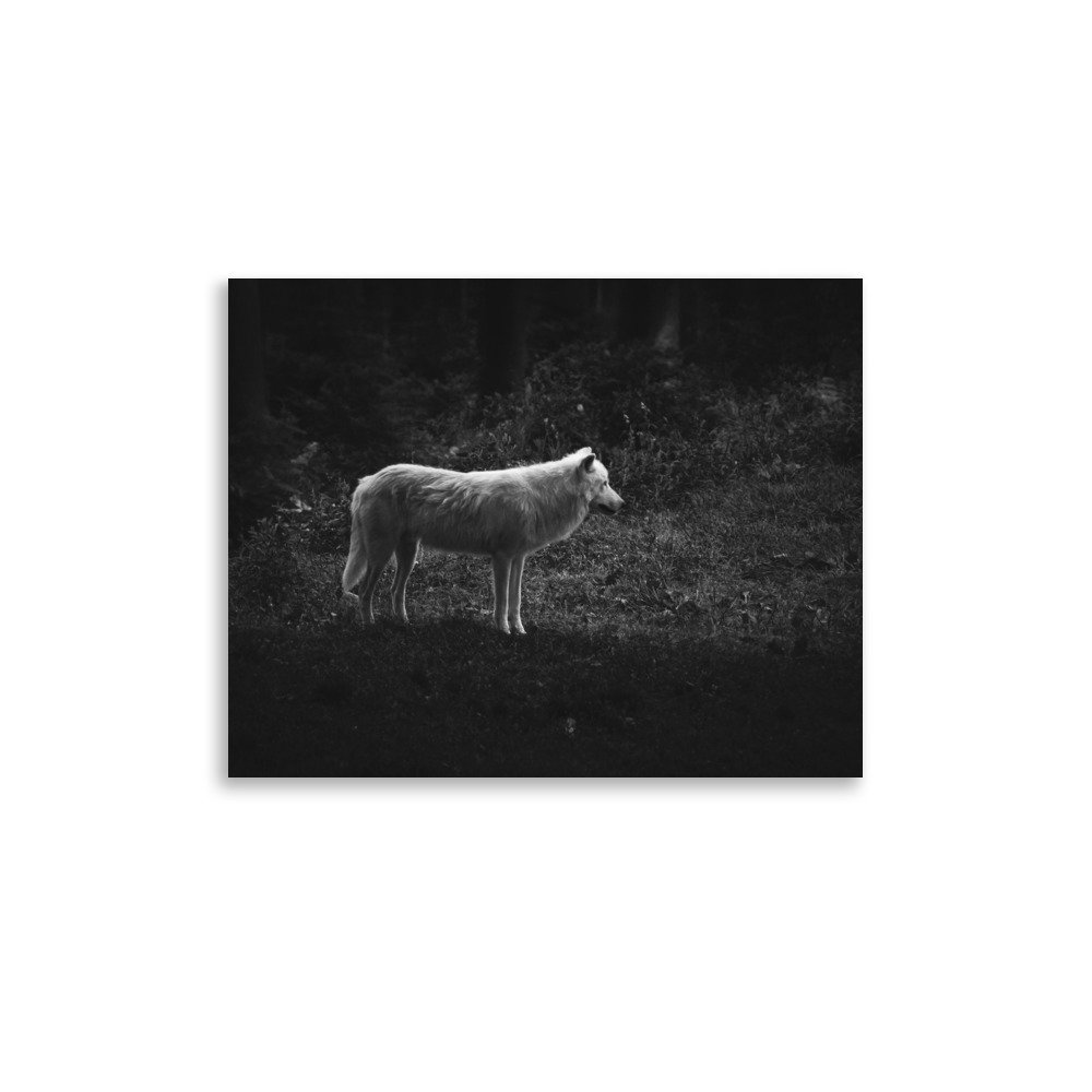 premium-luster-photo-paper-poster-(in)-11x14-front-675881d8ad5bb.jpg