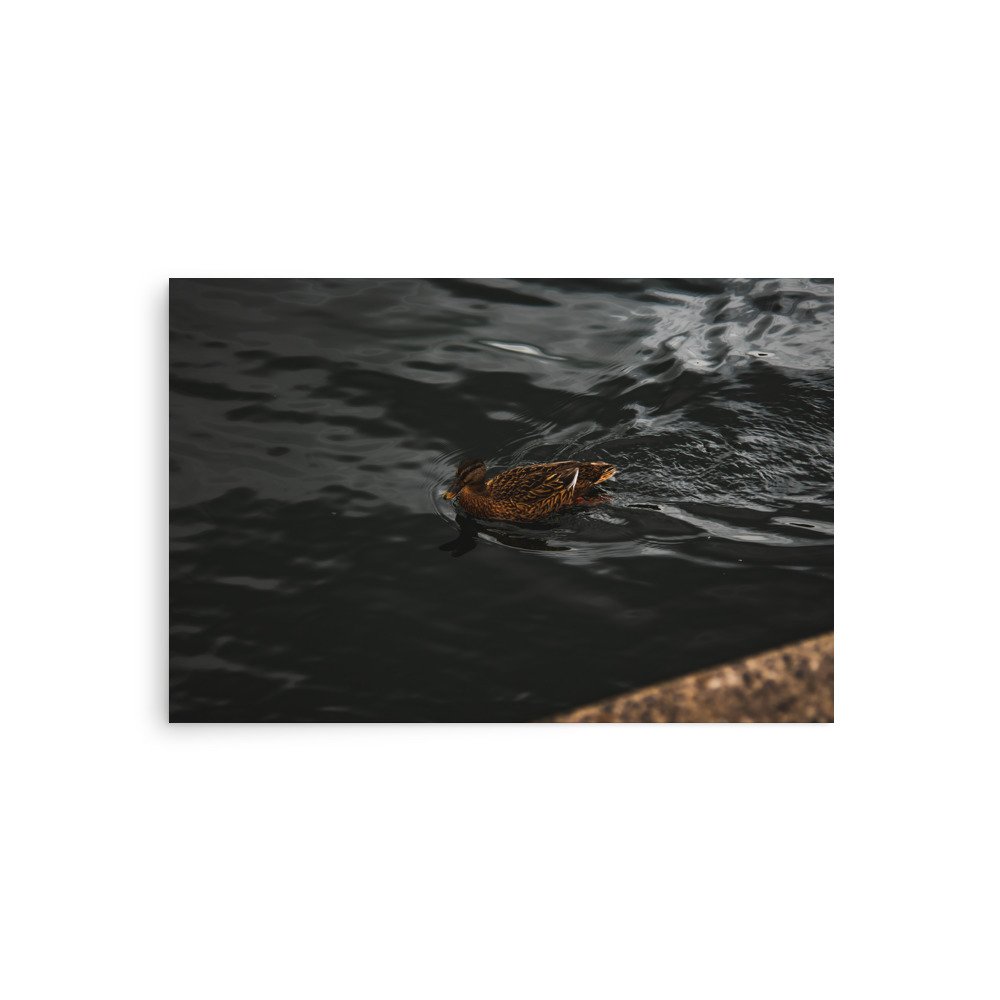 premium-luster-photo-paper-poster-(in)-20x30-front-6758ab4bd3ed5.jpg