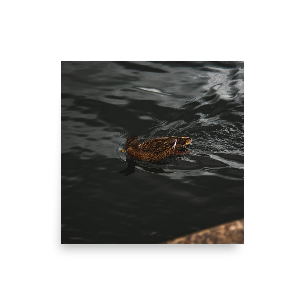 premium-luster-photo-paper-poster-(in)-10x10-front-6758ab4bd47e9.jpg