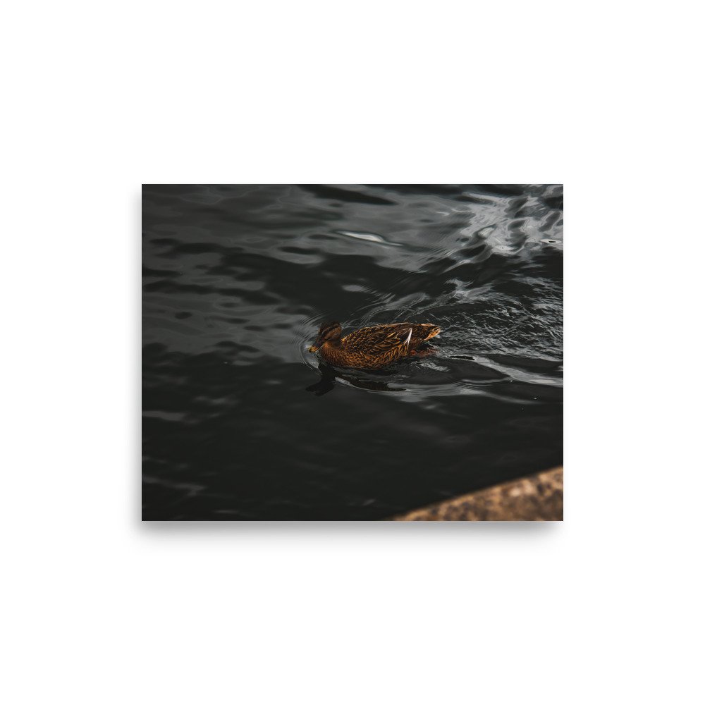 premium-luster-photo-paper-poster-(in)-8x10-front-6758ab4bd4fbf.jpg