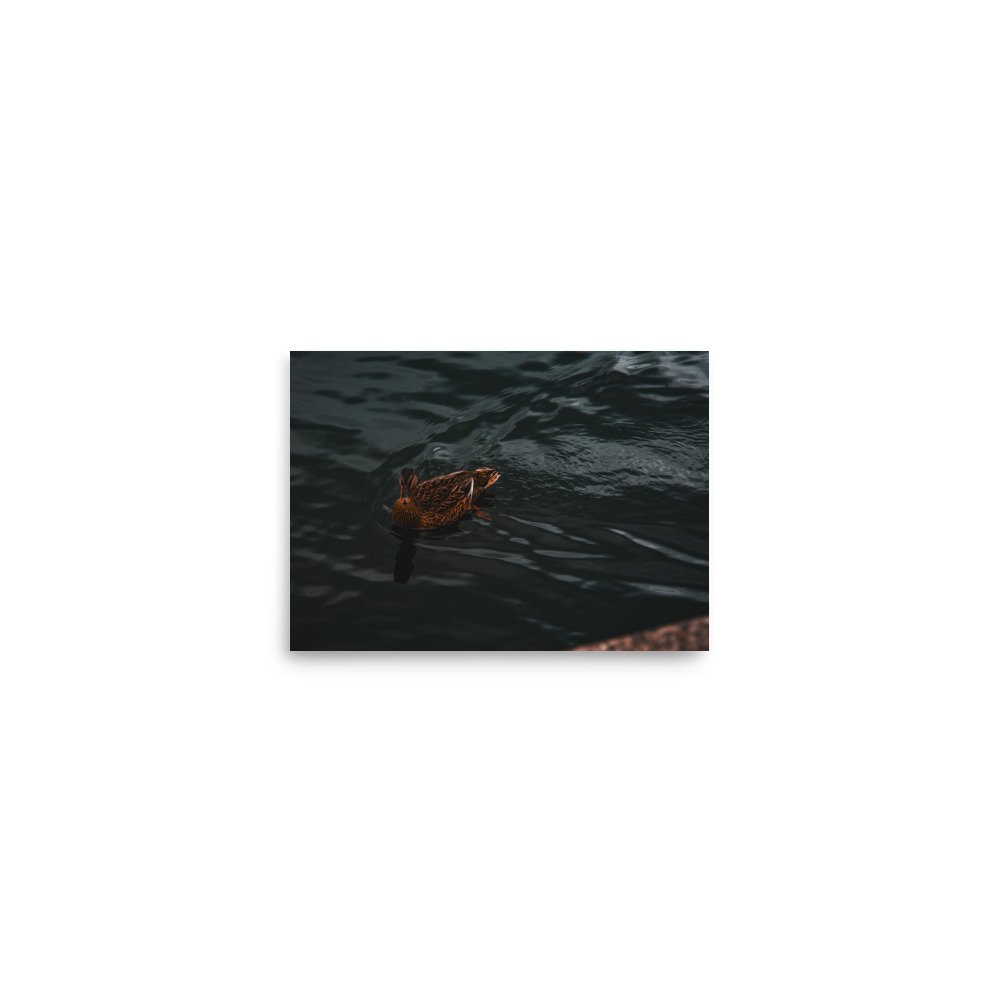 premium-luster-photo-paper-poster-(in)-5x7-front-6758b0b6304f5.jpg