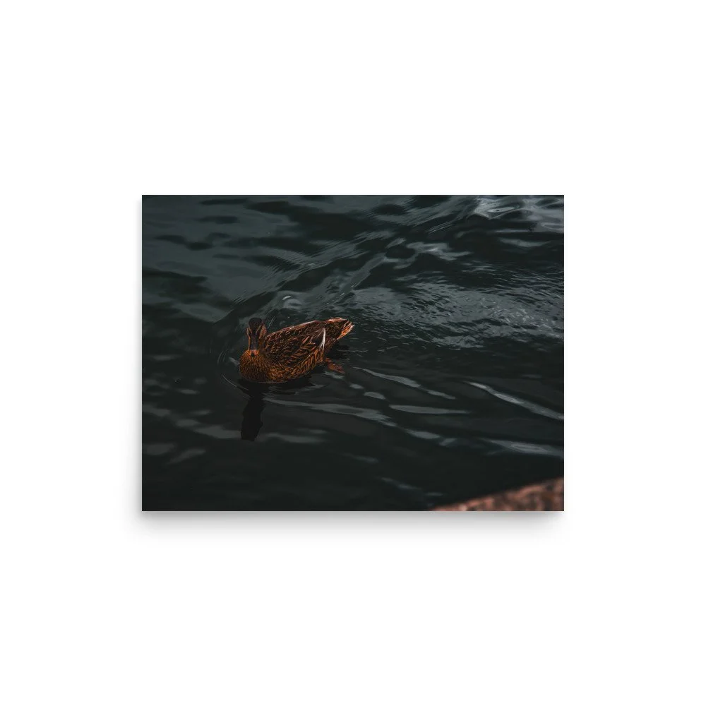 premium-luster-photo-paper-poster-(in)-12x16-front-6758b0b6307c5.jpg