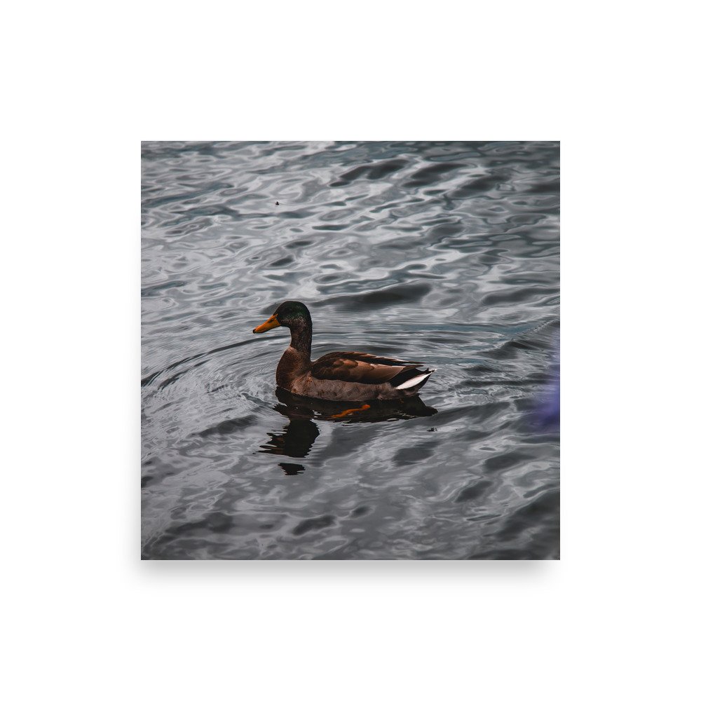 premium-luster-photo-paper-poster-(in)-10x10-front-6758b8085fa9c.jpg