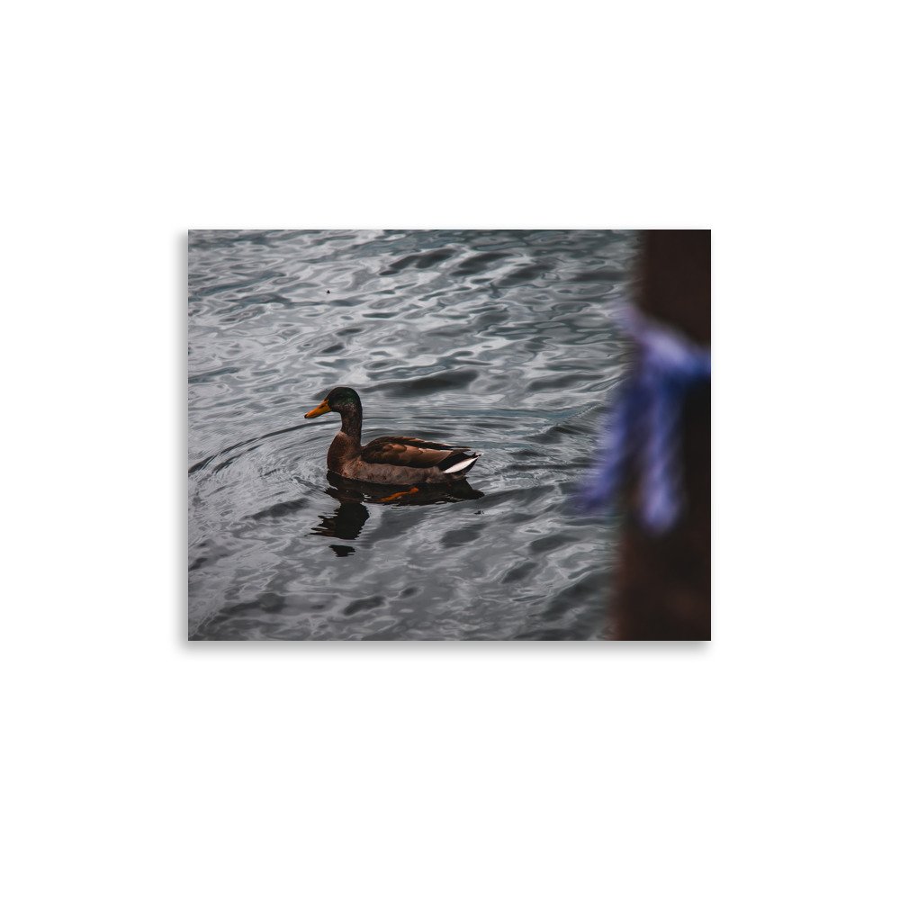premium-luster-photo-paper-poster-(in)-11x14-front-6758b8085fbc8.jpg