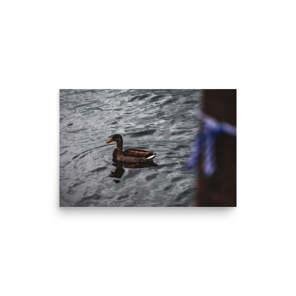 premium-luster-photo-paper-poster-(in)-12x18-front-6758b8085ff3e.jpg