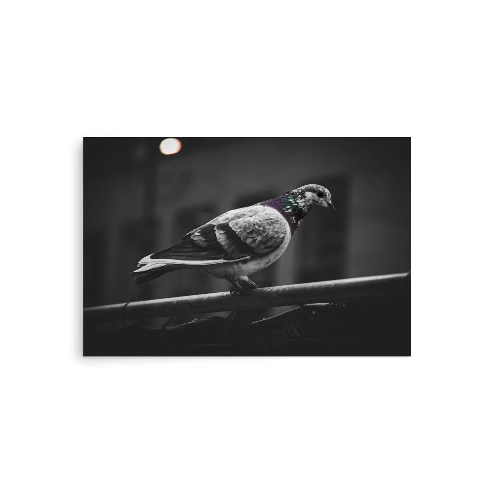 premium-luster-photo-paper-poster-(in)-20x30-front-6758c3af16df2.jpg