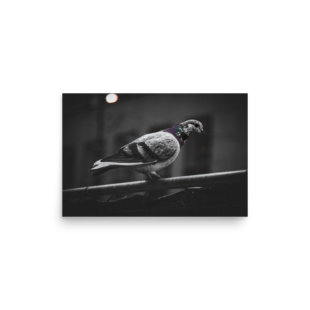 premium-luster-photo-paper-poster-(in)-12x18-front-6758c3af17c20.jpg
