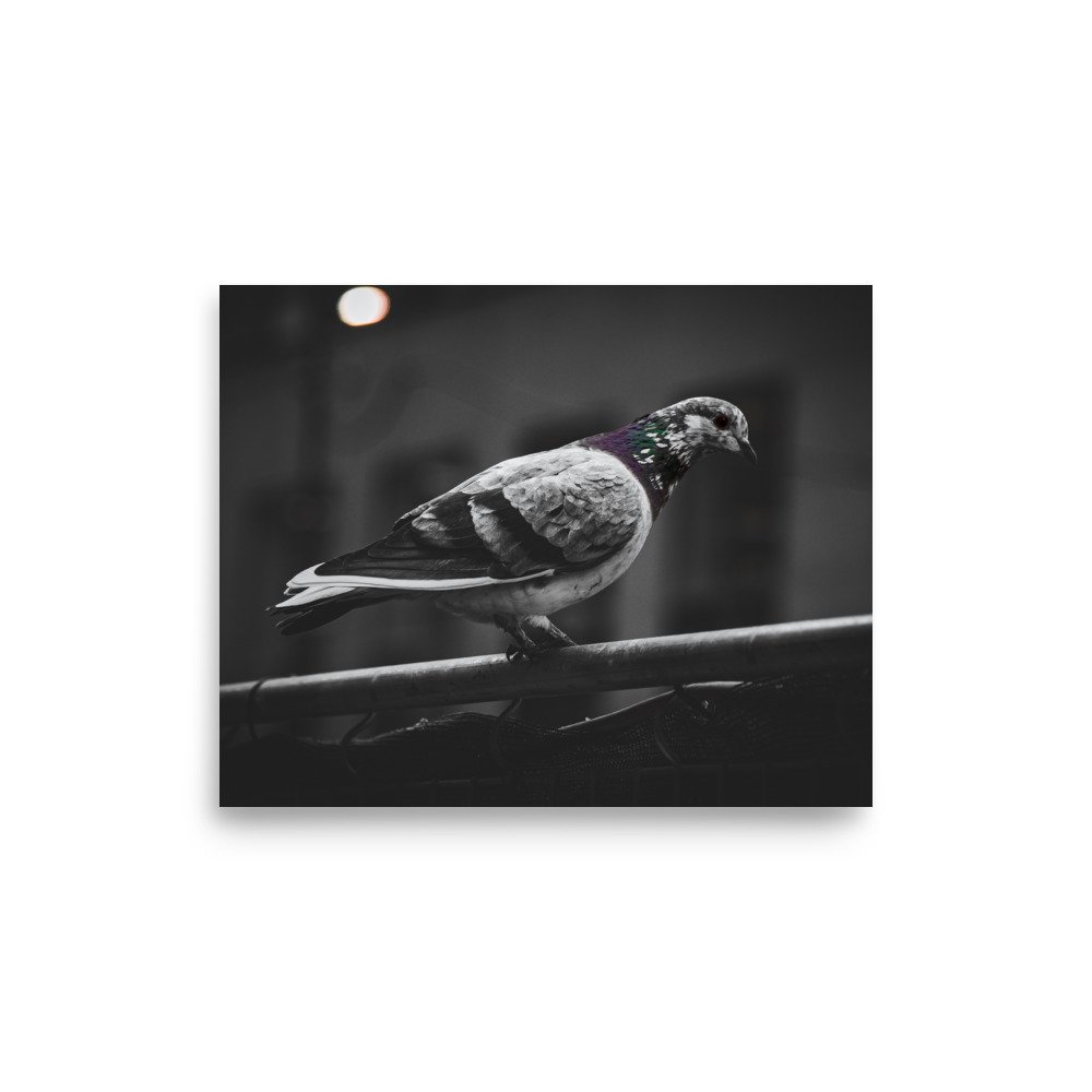 premium-luster-photo-paper-poster-(in)-8x10-front-6758c3af1833d.jpg