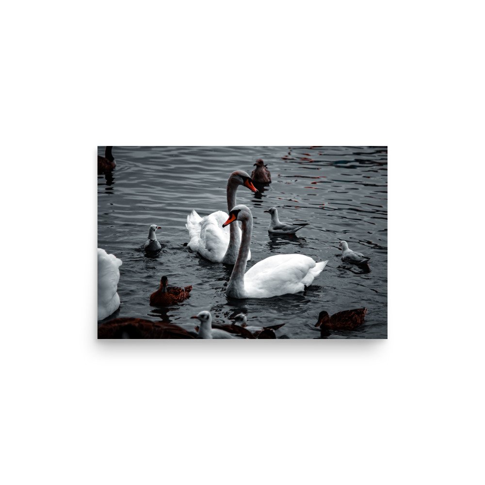 premium-luster-photo-paper-poster-(in)-12x18-front-6758c6e957e00.jpg