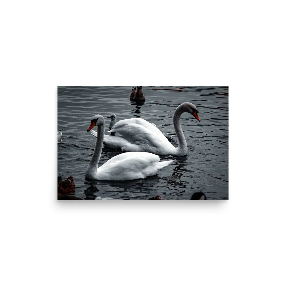 premium-luster-photo-paper-poster-(in)-12x18-front-6758c7fa57ca4.jpg