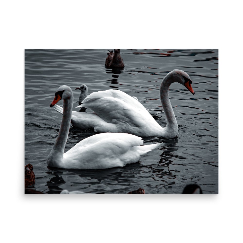 premium-luster-photo-paper-poster-(in)-18x24-front-6758c7fa58211.jpg