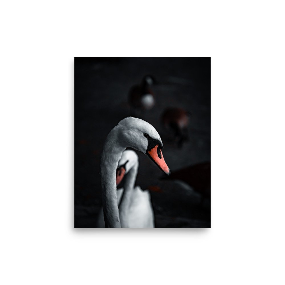 premium-luster-photo-paper-poster-(in)-8x10-front-6758ca9a61f51.jpg