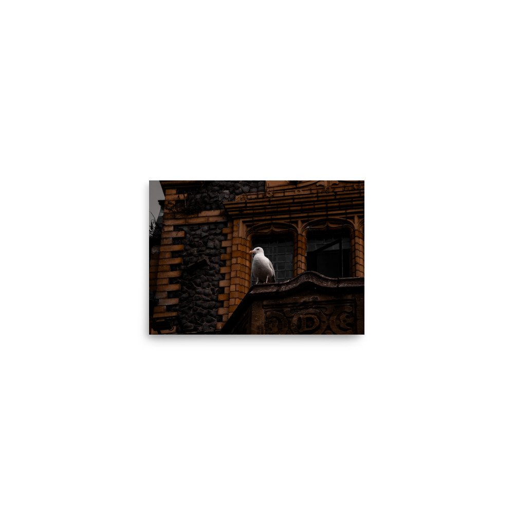 premium-luster-photo-paper-poster-(in)-5x7-front-6758ce0b0997b.jpg