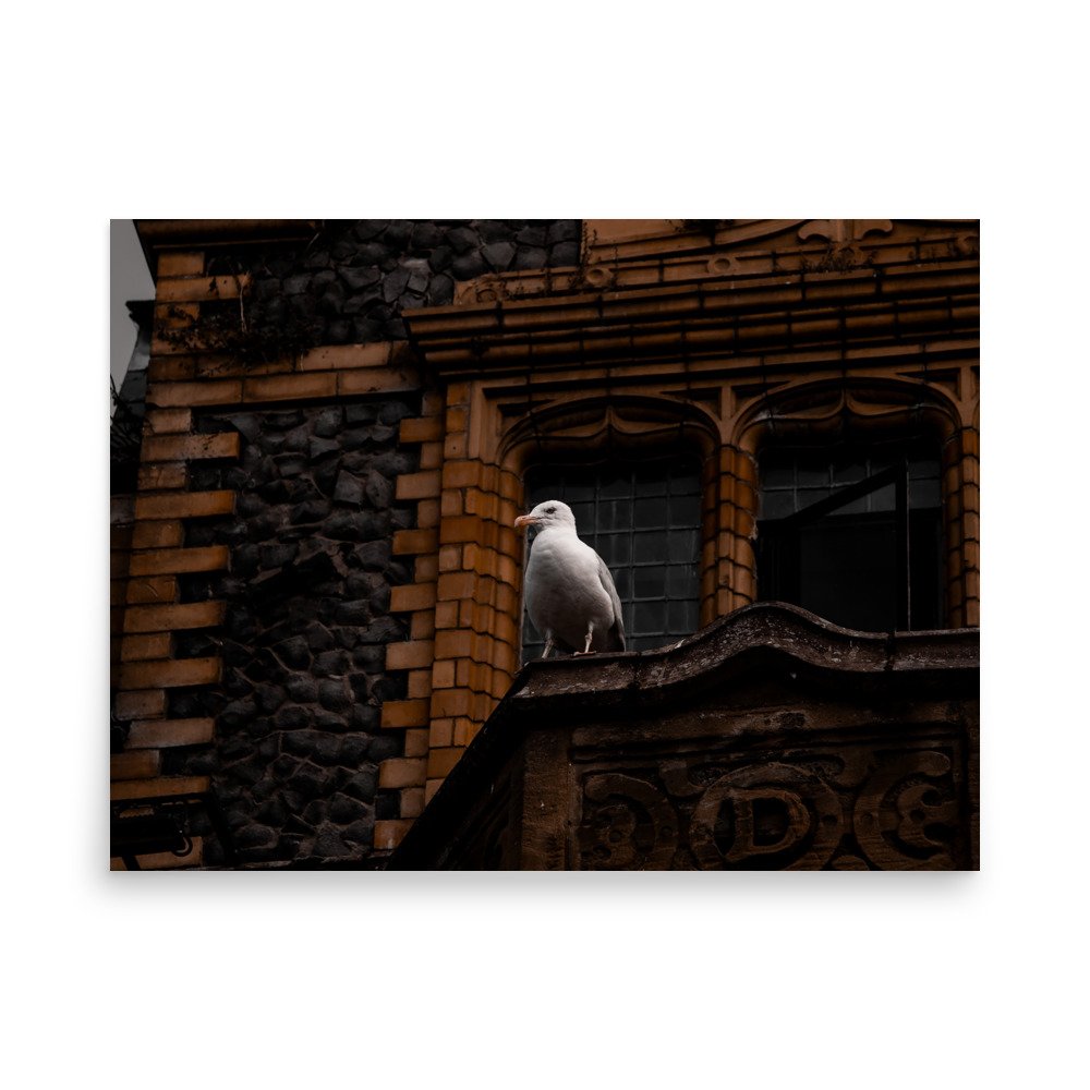 premium-luster-photo-paper-poster-(in)-18x24-front-6758ce0b0a608.jpg