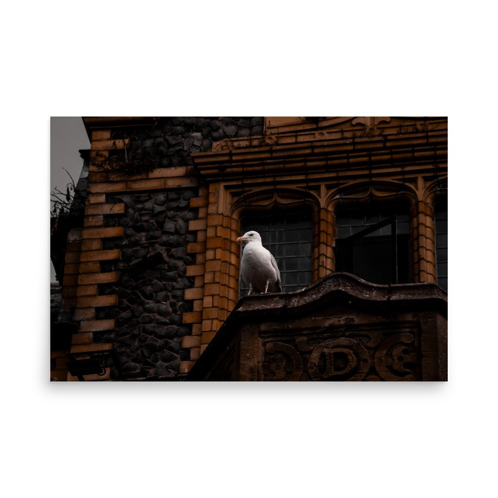 premium-luster-photo-paper-poster-(in)-24x36-front-6758ce0b0a773.jpg
