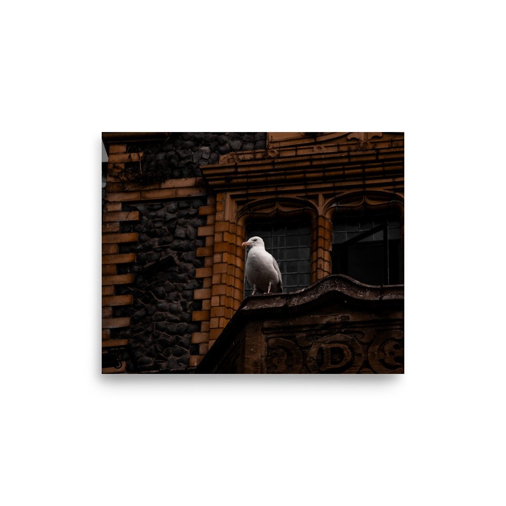 premium-luster-photo-paper-poster-(in)-8x10-front-6758ce0b0a8a9.jpg