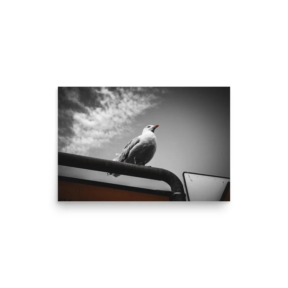 premium-luster-photo-paper-poster-(in)-12x18-front-675a1469ac086.jpg