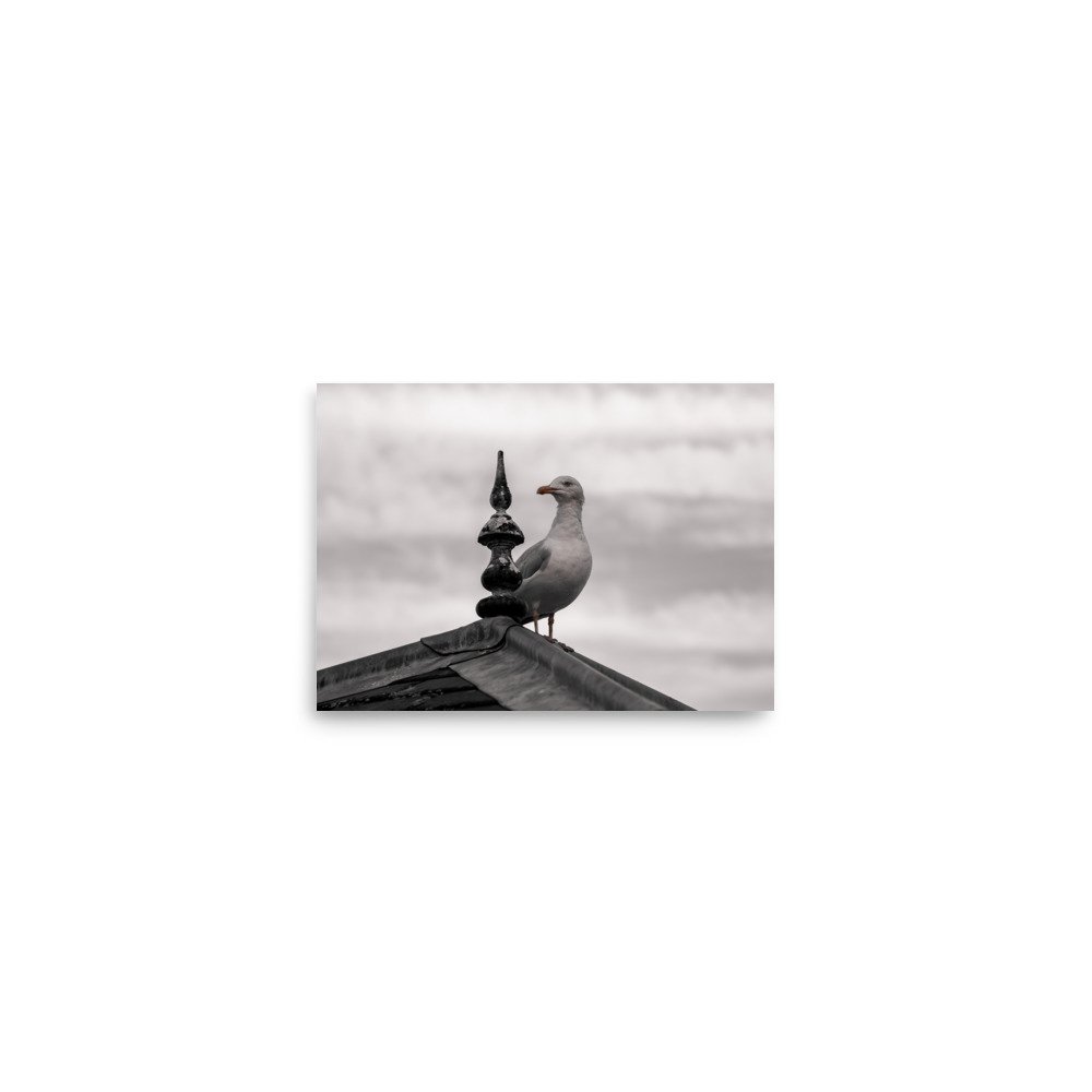 premium-luster-photo-paper-poster-(in)-5x7-front-675a16bc87380.jpg