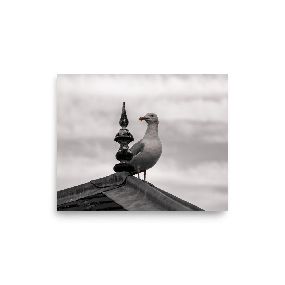 premium-luster-photo-paper-poster-(in)-8x10-front-675a16bc87b29.jpg