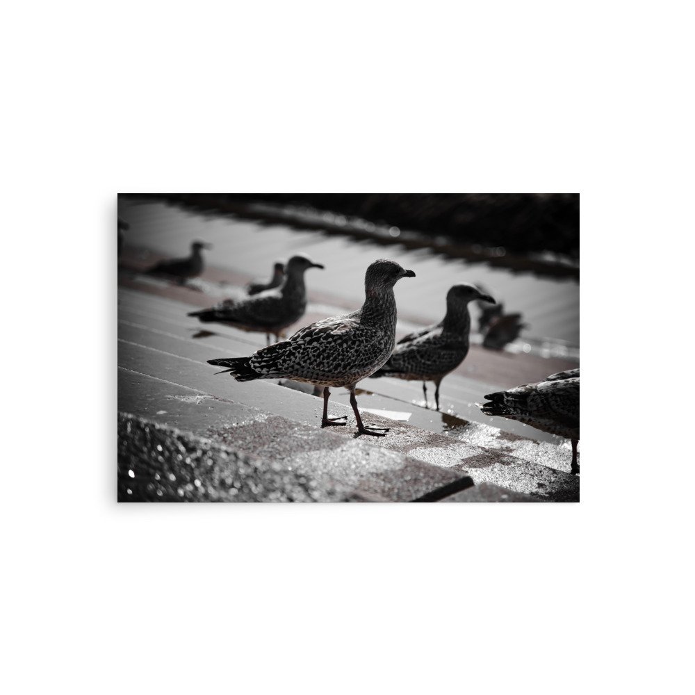 premium-luster-photo-paper-poster-(in)-20x30-front-675a1d18ce3e5.jpg