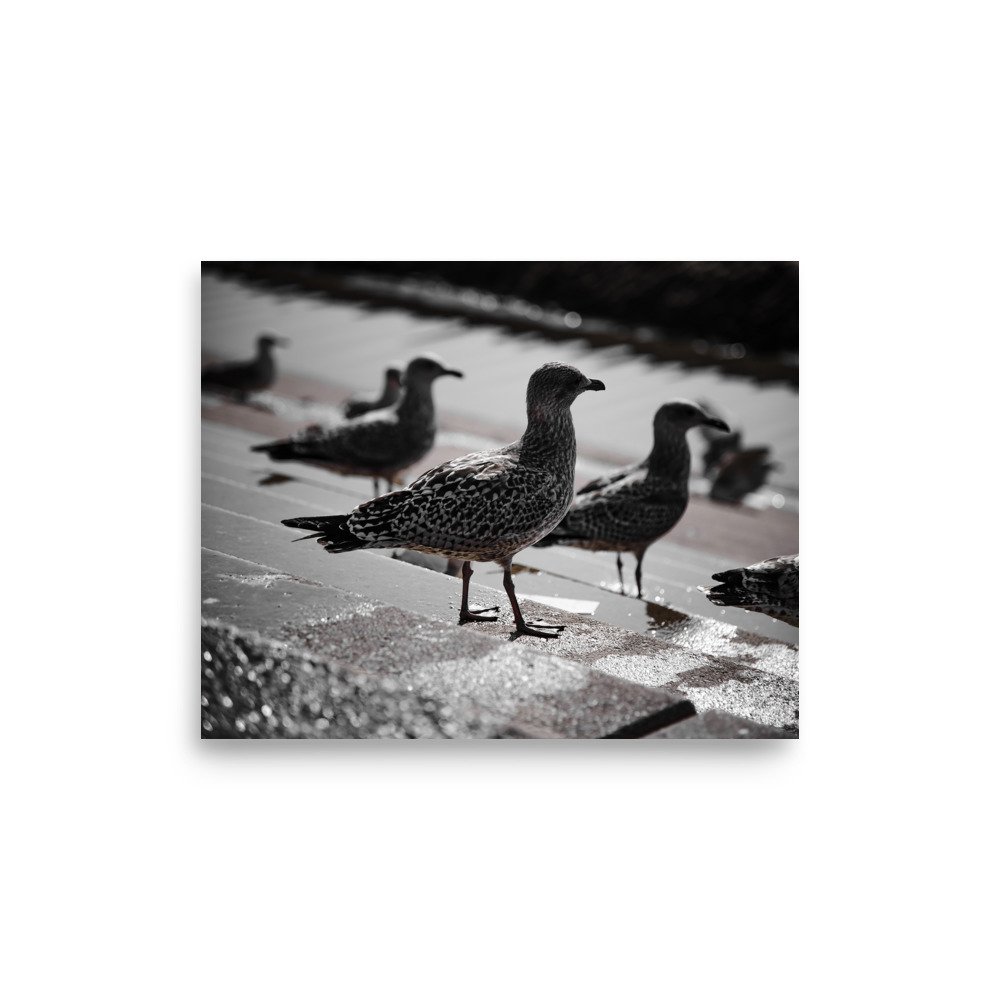 premium-luster-photo-paper-poster-(in)-8x10-front-675a1d18cfd0d.jpg