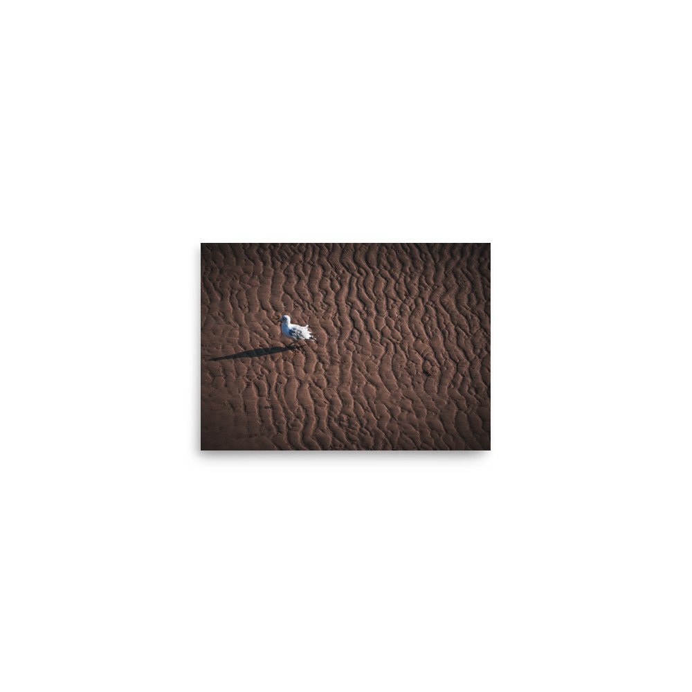 premium-luster-photo-paper-poster-(in)-5x7-front-675a1e1f52f27.jpg